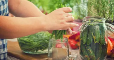 Conserves et toxine botulique : faut-il arrêter de consommer des conserves artisanales ?