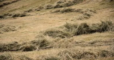 Côtes-d’Armor : le salon de l’agriculture change de nom pour 2026