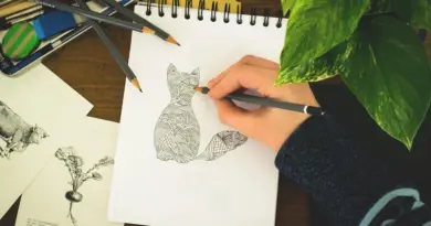 Cours de dessin et de peinture : Stage, atelier – Art plastique à Strasbourg – DNA.fr