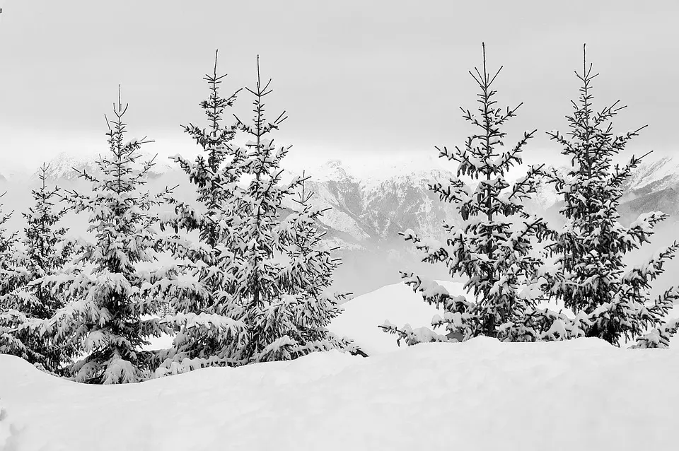 Course en montagne. Coupe du monde à Briançon : quelles ambitions pour les Hauts-Alpins ?