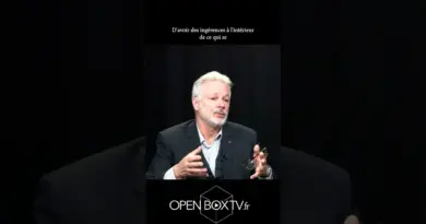 Cyber et désinformation