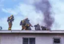 DLNG Commercial Operator