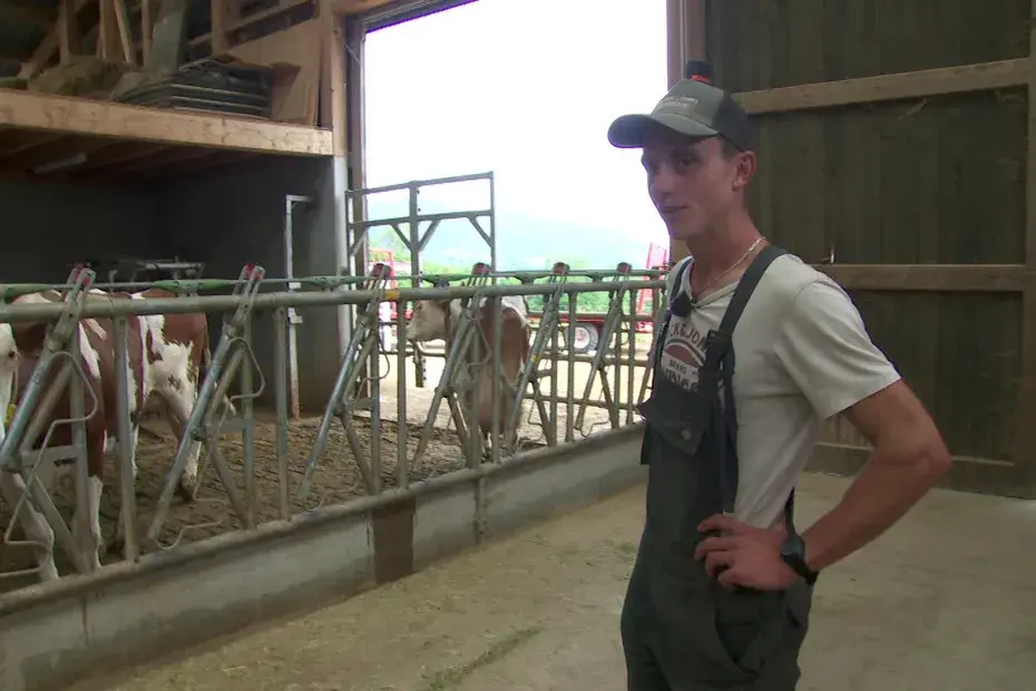 Dermatose nodulaire : « On arrête le combat », il lève le blocage de sa ferme et autorise l’abattage de ses 90 vaches