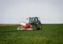 Des actions concrètes pour le bien-être des animaux de compagnie : La Ministre de l’Agriculture et de la Souveraineté alimentaire agit.