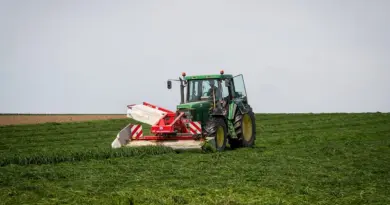 Des actions concrètes pour le bien-être des animaux de compagnie : La Ministre de l’Agriculture et de la Souveraineté alimentaire agit.