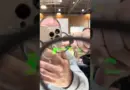 Des lunettes de réalité augmentée chez @evenrealities  #augmentedreality #eyewear #lunettes