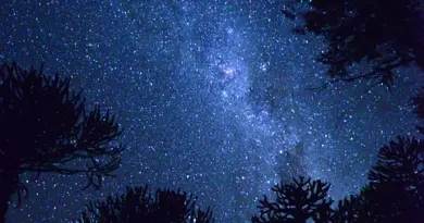 Des pionnières au firmament
