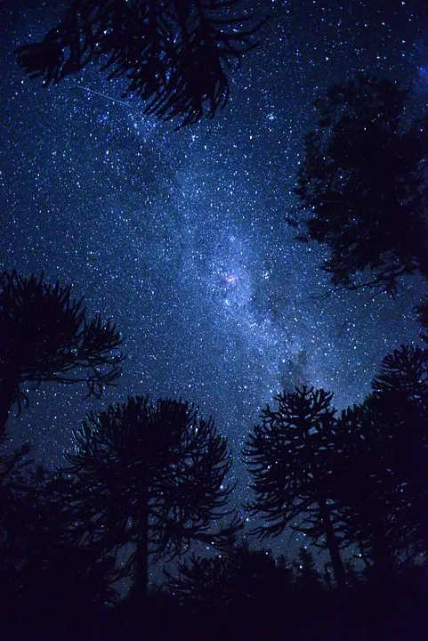Des pionnières au firmament