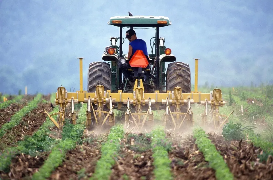 Des risques phytosanitaires dans le soya