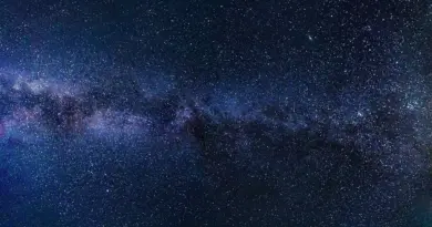 Des scientifiques découvrent plus d’informations sur le crâne “d’extraterrestre” trouvé en Argentine – MSN