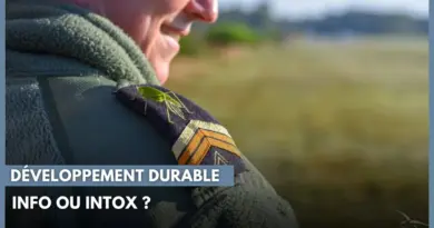 Développement durable : info ou intox ?