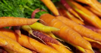 Diama : le rôle de la mécanisation dans l’atteinte de la sécurité alimentaire mis en exergue