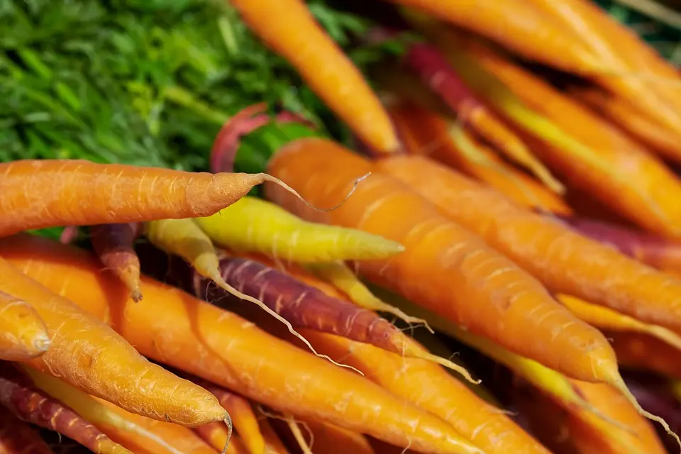 Diama : le rôle de la mécanisation dans l’atteinte de la sécurité alimentaire mis en exergue