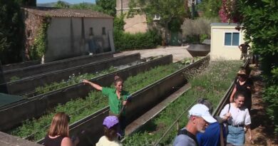 EN IMAGES. « C’est pour ça qu’on a mis en place la marque du végétal local » : une pépinière municipale pour verdir la ville de Marseille