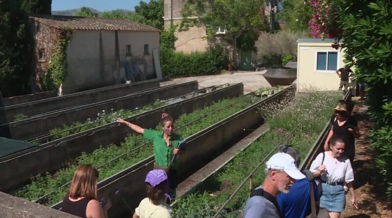EN IMAGES. « C’est pour ça qu’on a mis en place la marque du végétal local » : une pépinière municipale pour verdir la ville de Marseille