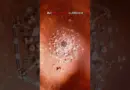 Earth’s future Vs Mars future