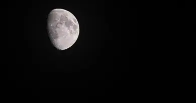 En 1973, la NASA a envoyé 2 araignées dans l’espace pour une mission très spéciale… Et voici ce qu’elle a appris