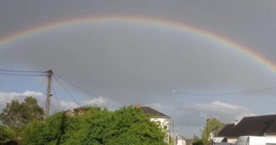 En Pays de la Loire, la qualité de l’air s’améliore : une bonne nouvelle à prendre avec beaucoup de prudence