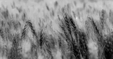 En Provence, l’agriculture durable est accessible à tous
