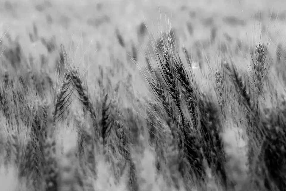En Provence, l’agriculture durable est accessible à tous