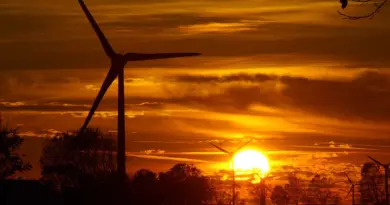 Énergie propre à La Réunion : TCL SunPower Global et Bellsolar s’unissent pour accélérer la transition énergétique