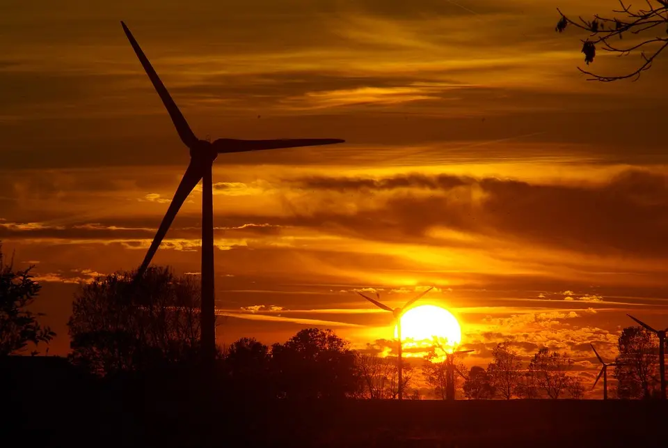 Énergie propre à La Réunion : TCL SunPower Global et Bellsolar s’unissent pour accélérer la transition énergétique