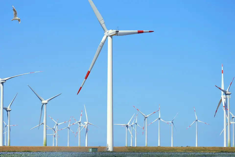 Énergies renouvelables : «Un pilier essentiel de la sécurité environnementale»