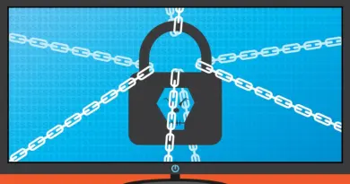 Enjeux de la protection des données personnelles en Afrique