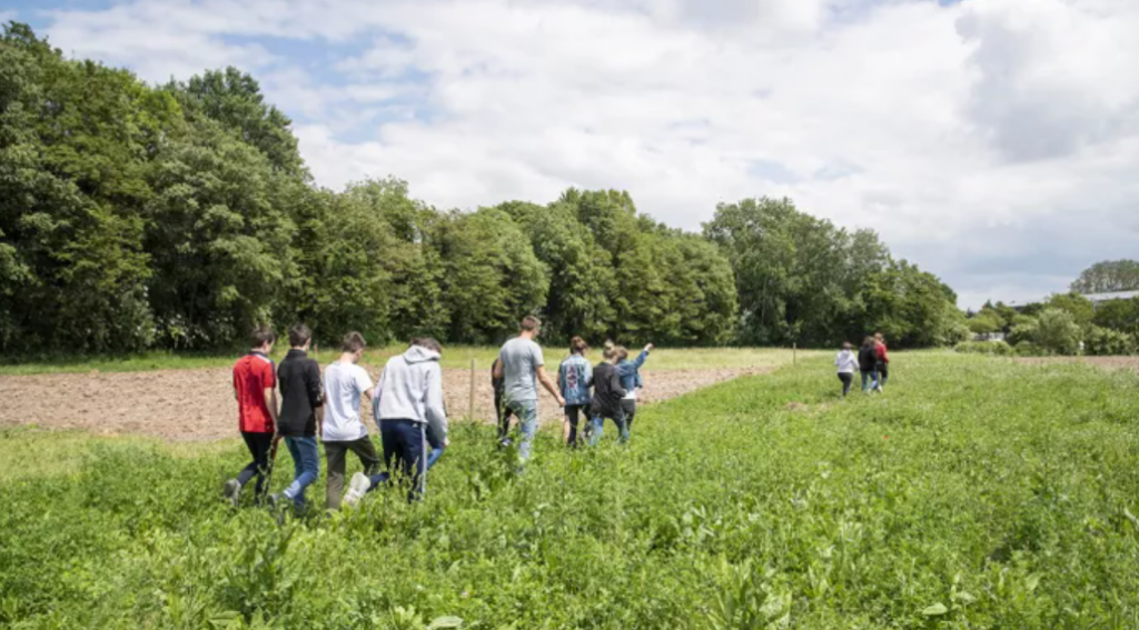 Enseignement agricole 2025 : les chiffres clés des résultats d’examens