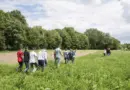 Enseignement agricole 2025 : les chiffres clés des résultats d’examens