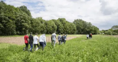 Enseignement agricole 2025 : les chiffres clés des résultats d’examens