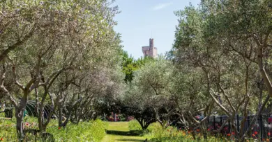 Entre Festival d’Avignon et Puy du Fou, un abîme culturel… et financier ! – Boulevard Voltaire