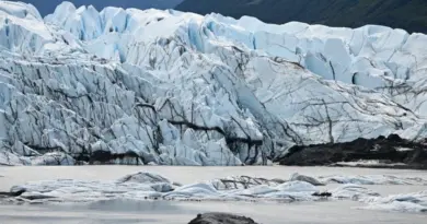Etats-Unis : une alerte tsunami déclenchée après un séisme de magnitude 7,3 en Alaska