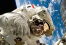 Étoiles filantes : quels conseils suivre pour observer au mieux ce beau spectacle de l’été dans le ciel ?