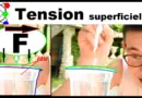 Expériences à faire à la maison # 6 : la tension superficielle de l’eau