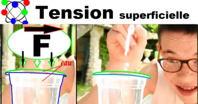 Expériences à faire à la maison # 6 : la tension superficielle de l’eau