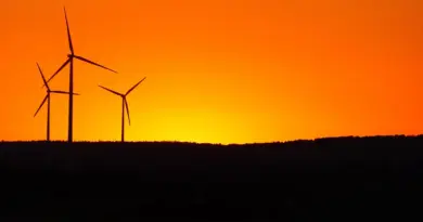 Face au changement climatique, les prix de l’alimentation s’envolent dans le monde