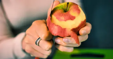 Faut-il manger la peau des pommes ? Ce que vous gagnez (ou risquez) vraiment à chaque bouchée