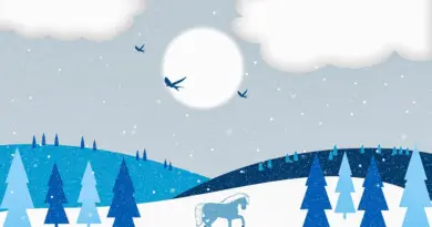 Festival Sous dôme – Le Planétarium – Activités & spectacles