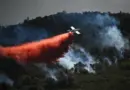 Feux de forêt : voici les 10 départements placés en vigilance orange ce jeudi