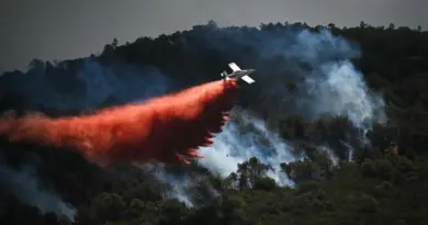 Feux de forêt : voici les 10 départements placés en vigilance orange ce jeudi