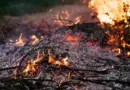 Feux de forêts : voici les 3 départements placés en alerte rouge ce mercredi