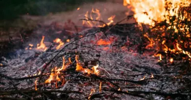 Feux de forêts : voici les 3 départements placés en alerte rouge ce mercredi