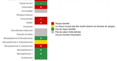 Filtres UV, métaux, pesticides… Les récifs coralliens au défi de la pollution chimique