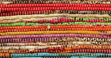 Focus sur Camarg’oustau, sellerie artisanale de Camargue