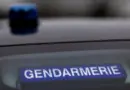 Gers : six personnes interpellées après le vol de 11 œuvres de Bernard Buffet