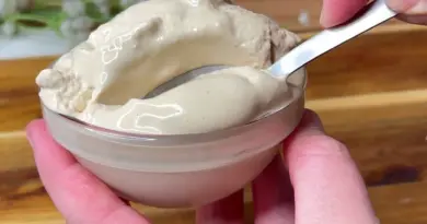 Glace Magique :  SANS œufs ni machine !