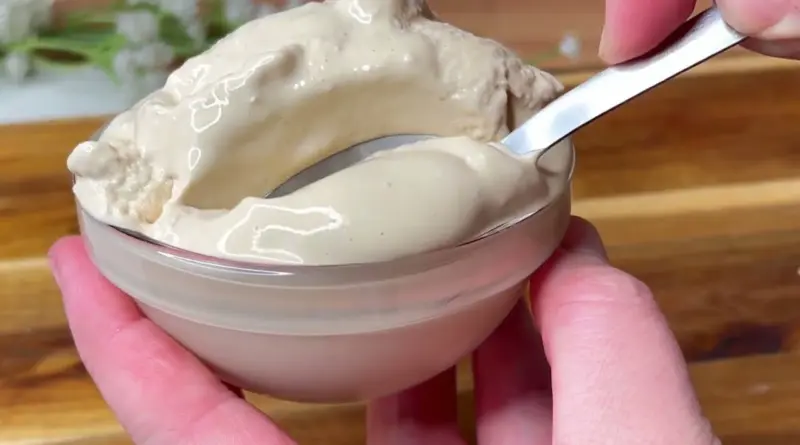 Glace Magique :  SANS œufs ni machine !