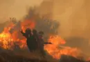 Grèce : les images impressionnantes des incendies qui ravagent la Crète