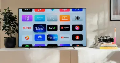 Guerre contre le piratage : Netflix, Disney et Hollywood exigent une nouvelle arme redoutable en Europe
